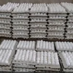 egg-price-hike-india-record-high-namakkal-egg-rates-reason