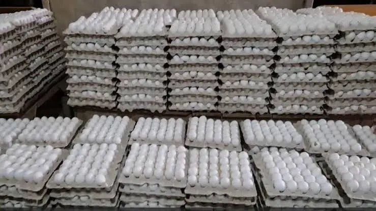 egg-price-hike-india-record-high-namakkal-egg-rates-reason
