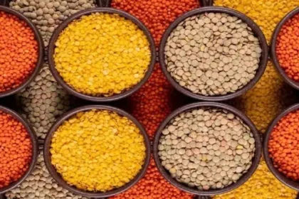 india-pulses-import-bill-falls-34-percent-export-rises-china-demand