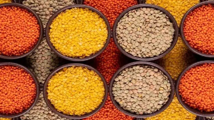 india-pulses-import-bill-falls-34-percent-export-rises-china-demand