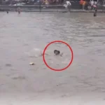 haridwar-kanwar-yatra-sdrf-jawan-rescues-drowning-kanwariya-video