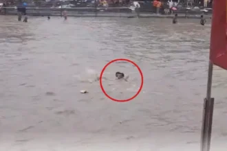 haridwar-kanwar-yatra-sdrf-jawan-rescues-drowning-kanwariya-video