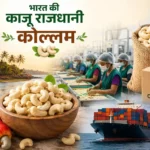 kollam-cashew-capital-of-india-cashew-processing-export