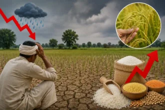 monsoon-kharif-crop-sowing-decline-food-inflation-risk