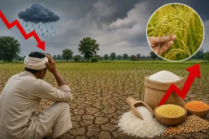 monsoon-kharif-crop-sowing-decline-food-inflation-risk