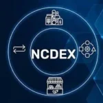 ncdex-black-pepper-futures-trading-restarts-after-14-years-from-15-july