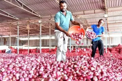 onion-procurement-price-hike-2125-per-quintal-july-2026