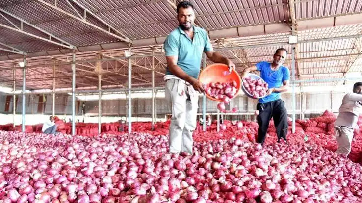 onion-procurement-price-hike-2125-per-quintal-july-2026