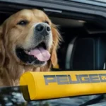 peugeot-e-5008-dog-edition-pet-friendly-suv-features-hindi