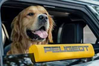 peugeot-e-5008-dog-edition-pet-friendly-suv-features-hindi