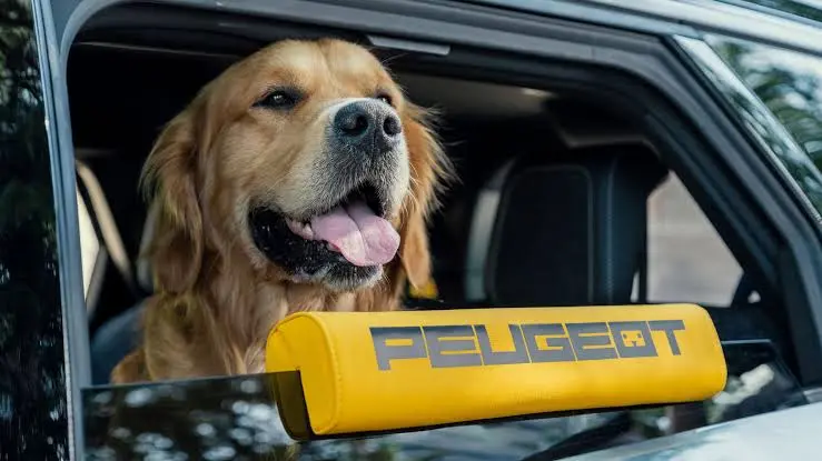 peugeot-e-5008-dog-edition-pet-friendly-suv-features-hindi