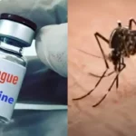 india-first-dengue-vaccine-qdenga-approved-for-4-to-60-years