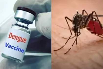 india-first-dengue-vaccine-qdenga-approved-for-4-to-60-years