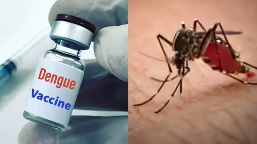 india-first-dengue-vaccine-qdenga-approved-for-4-to-60-years