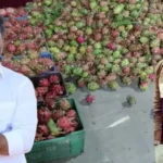 ramesh-reddy-success-story-dragon-fruit-farming-30-lakh-income