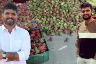 ramesh-reddy-success-story-dragon-fruit-farming-30-lakh-income