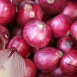 sarkar-ne-5-bar-badhaye-pyaj-ke-daam-kisan-nahi-bech-rahe-onion-procurement-news