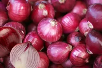 sarkar-ne-5-bar-badhaye-pyaj-ke-daam-kisan-nahi-bech-rahe-onion-procurement-news