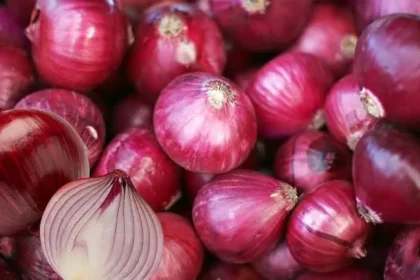 sarkar-ne-5-bar-badhaye-pyaj-ke-daam-kisan-nahi-bech-rahe-onion-procurement-news
