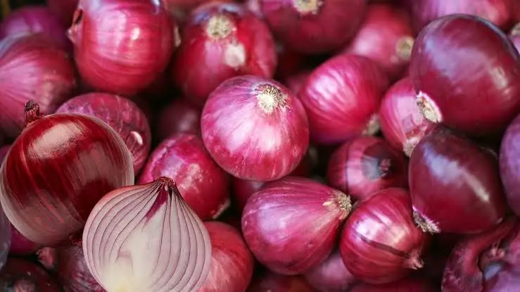 sarkar-ne-5-bar-badhaye-pyaj-ke-daam-kisan-nahi-bech-rahe-onion-procurement-news