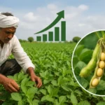 soybean-farming-el-nino-crisis-monsoon-india-madhya-pradesh-maharashtra-2026