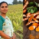 success-story-kanchan-verma-turmeric-farming-profit