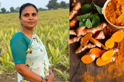 success-story-kanchan-verma-turmeric-farming-profit