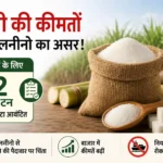 sugar-price-july-2026-government-22-lakh-ton-quota-elnino-impact-hindi