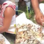 gonda-woman-12-lakh-savings-rats-chewed-cash-trunk-viral-video