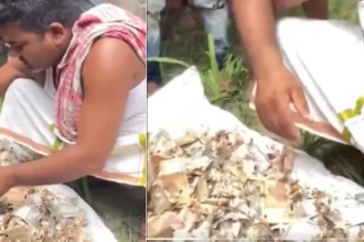 gonda-woman-12-lakh-savings-rats-chewed-cash-trunk-viral-video