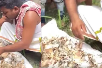 gonda-woman-12-lakh-savings-rats-chewed-cash-trunk-viral-video