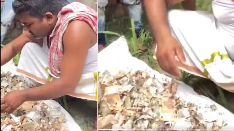 gonda-woman-12-lakh-savings-rats-chewed-cash-trunk-viral-video