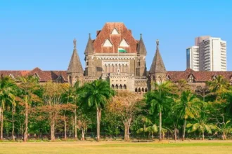 amazon-warehouse-fda-action-bombay-high-court-mosquito-sword-comment