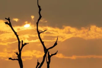 el-nino-impact-on-monsoon-india-economy-rainfall