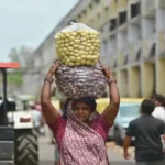 el-nino-impact-india-gdp-growth-citygroup-prediction-2026