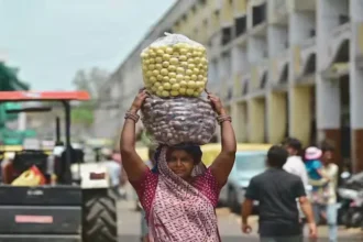 el-nino-impact-india-gdp-growth-citygroup-prediction-2026
