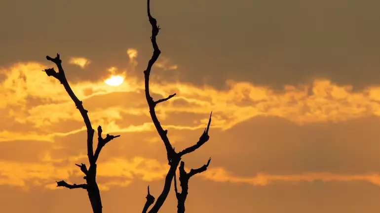 el-nino-impact-on-monsoon-india-economy-rainfall
