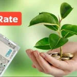 10-lakh-fd-best-return-bank-interest-rate-8-percent-august-2026