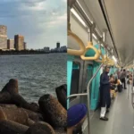 mumbai-foreigner-praises-aqua-line-metro-questions-dirty-beaches-cleanliness