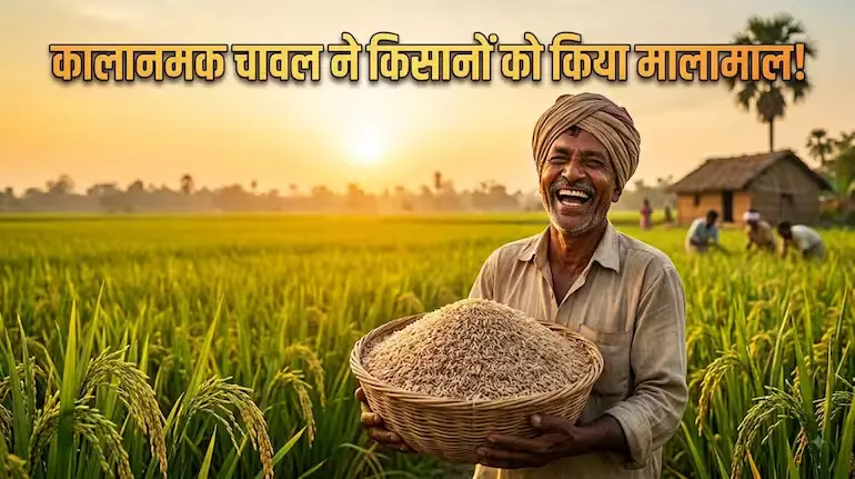 kalanamak-rice-price-150-production-five-times-buddha-rice