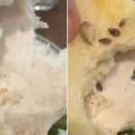 gurugram-paul-bakery-caesar-salad-live-worm-video-viral-apology