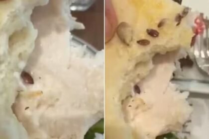 gurugram-paul-bakery-caesar-salad-live-worm-video-viral-apology