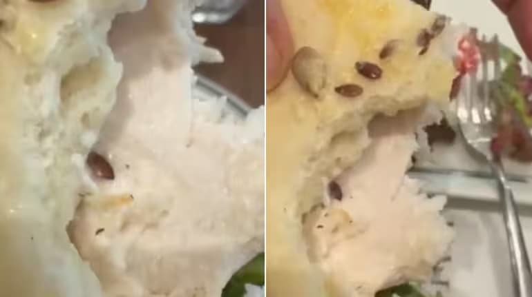 gurugram-paul-bakery-caesar-salad-live-worm-video-viral-apology