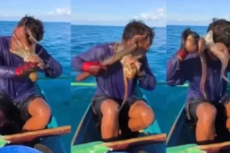 octopus-viral-video-fisherman-face-attack-philippines
