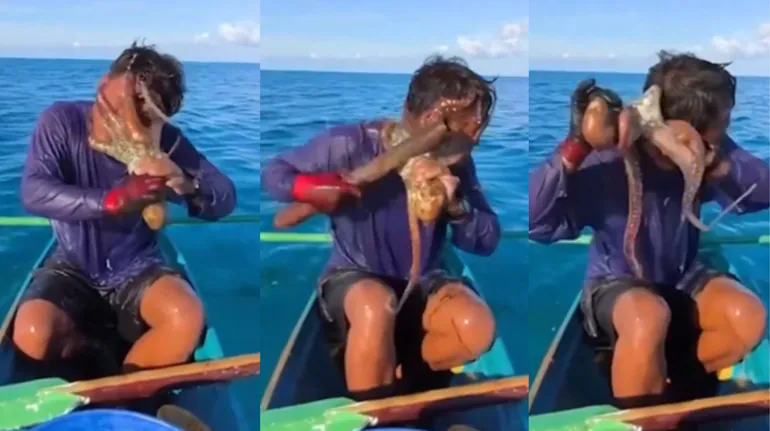 octopus-viral-video-fisherman-face-attack-philippines
