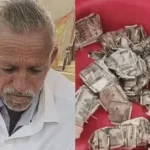 rajasthan-viral-news-farmer-5-lakh-termites-cash-buried-in-field