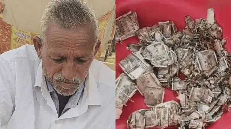 rajasthan-viral-news-farmer-5-lakh-termites-cash-buried-in-field