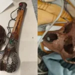delhi-airport-passenger-carrying-monkey-skull-caught-by-cisf