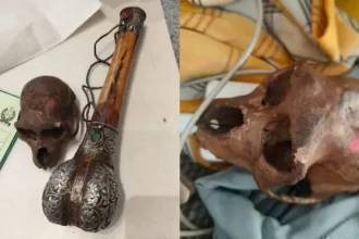 delhi-airport-passenger-carrying-monkey-skull-caught-by-cisf