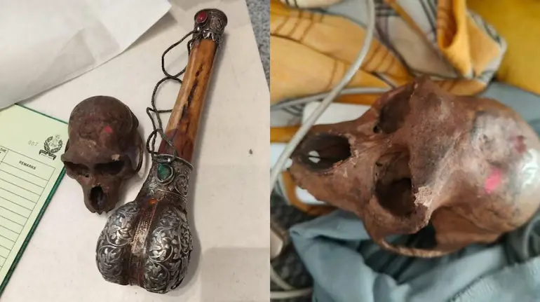 delhi-airport-passenger-carrying-monkey-skull-caught-by-cisf